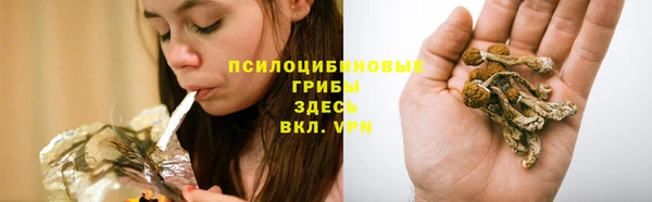 спайс Белоозёрский