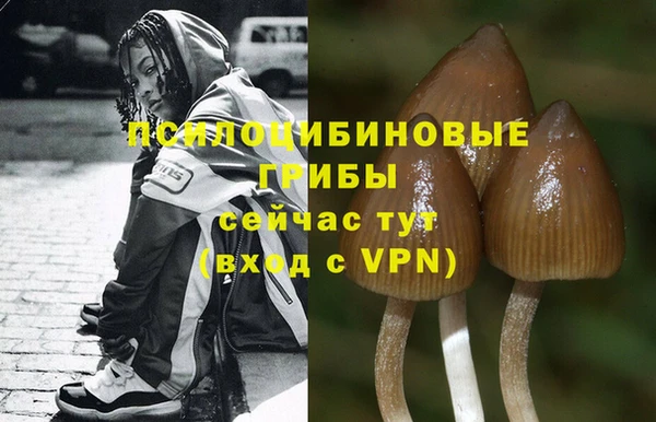 спайс Белоозёрский