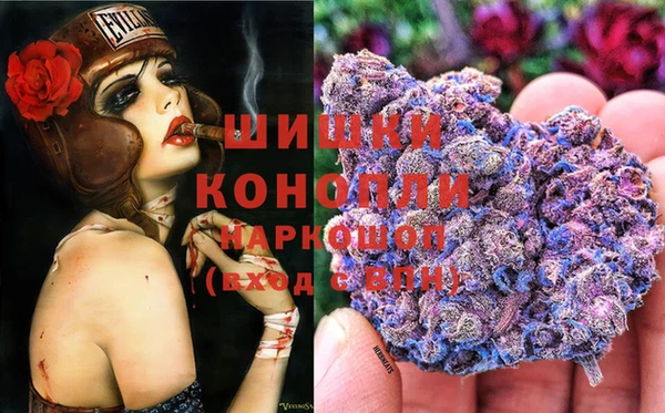 ECSTASY Белокуриха