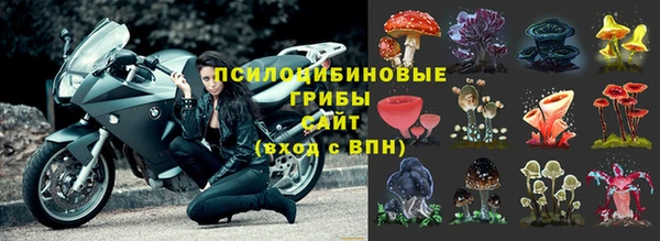 ECSTASY Белокуриха
