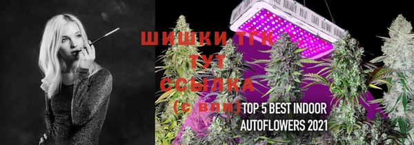 ECSTASY Белокуриха