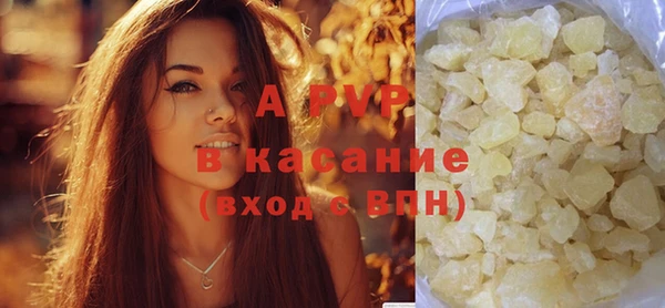 ECSTASY Белокуриха