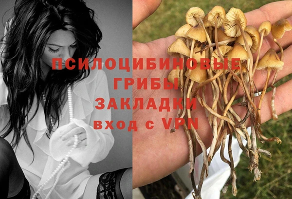ECSTASY Белокуриха