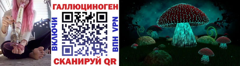Галлюциногенные грибы Psilocybe Бугульма
